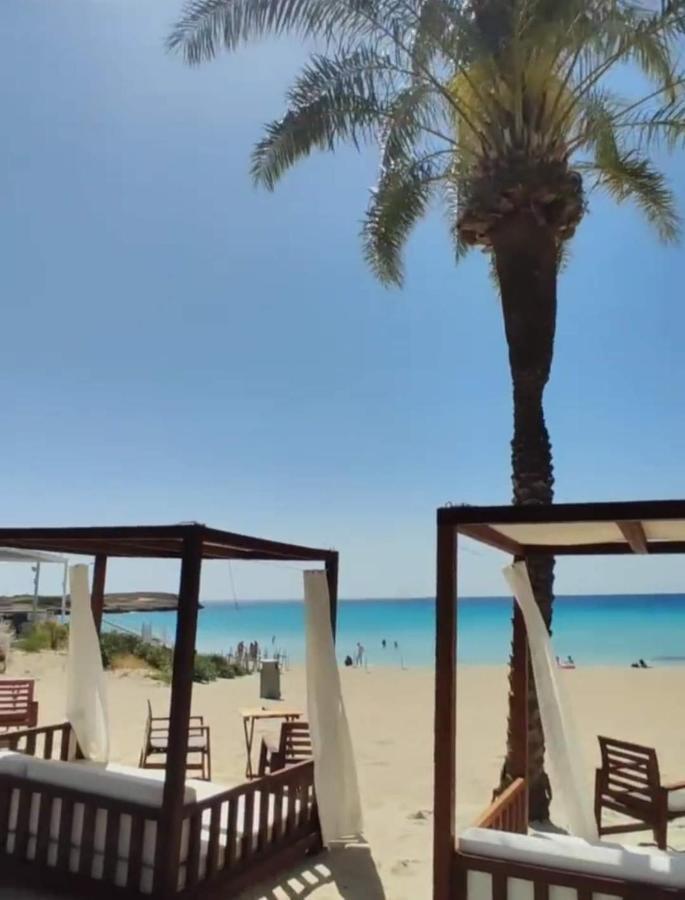 Nissi Golden Sands Sea View 2 Bedroom Apartment Ayia Napa Exteriér fotografie